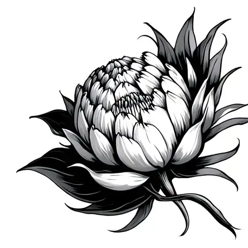 waratah